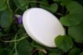 Gardenia Handmade Glycerin Soap