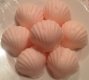Sea Shells Guest Soaps - NEW