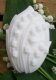Lily of the Valley Handmade Glycerin Soap